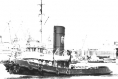 Gargano 1955
