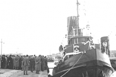 Gargano 1955